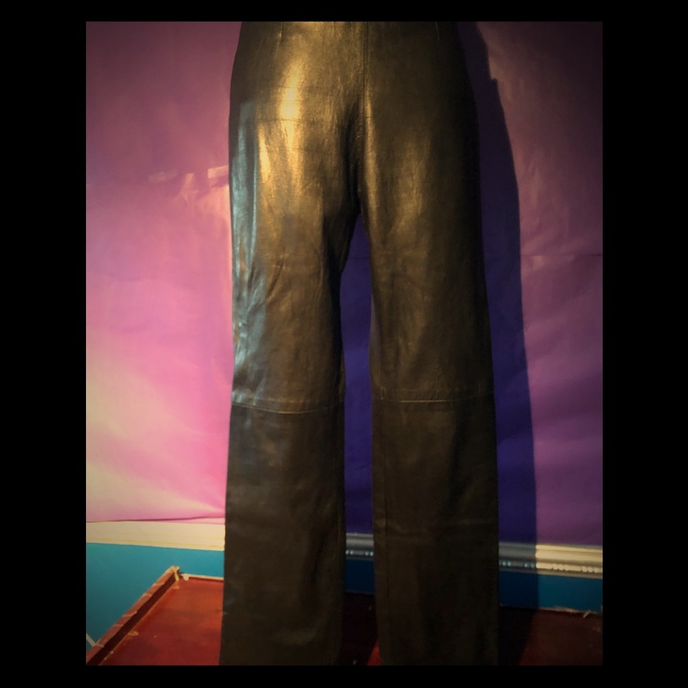 Danier Leather Pants Size 6